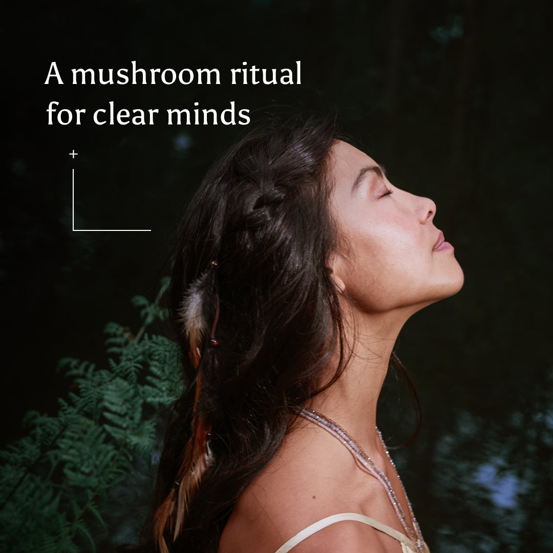 Brave Clarity Mushroom Tincture Bottle 50ml