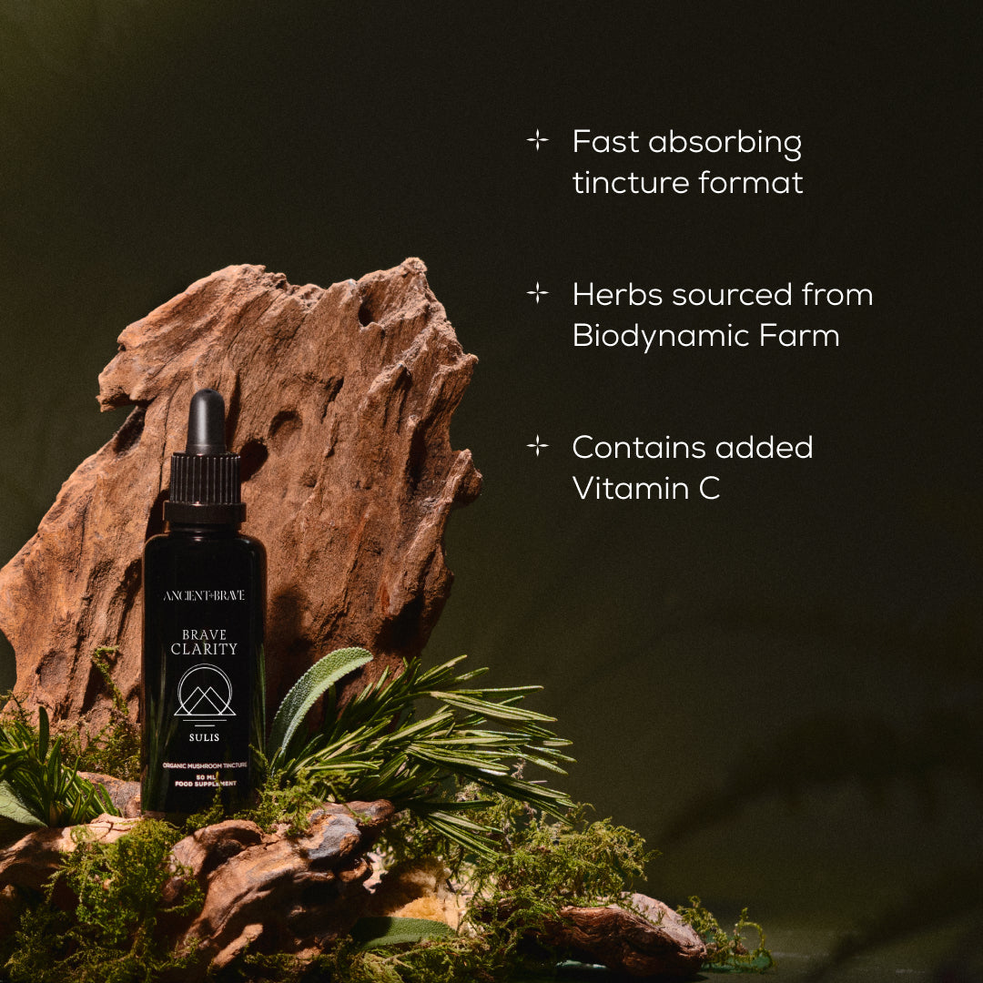 Brave Clarity Mushroom Tincture Bottle 50ml