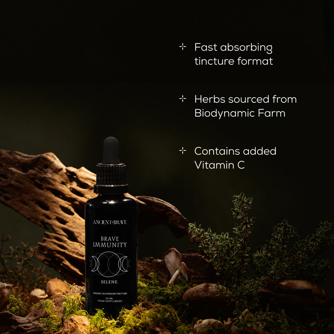 Brave Immunity Mushroom Tincture Bottle 50ml