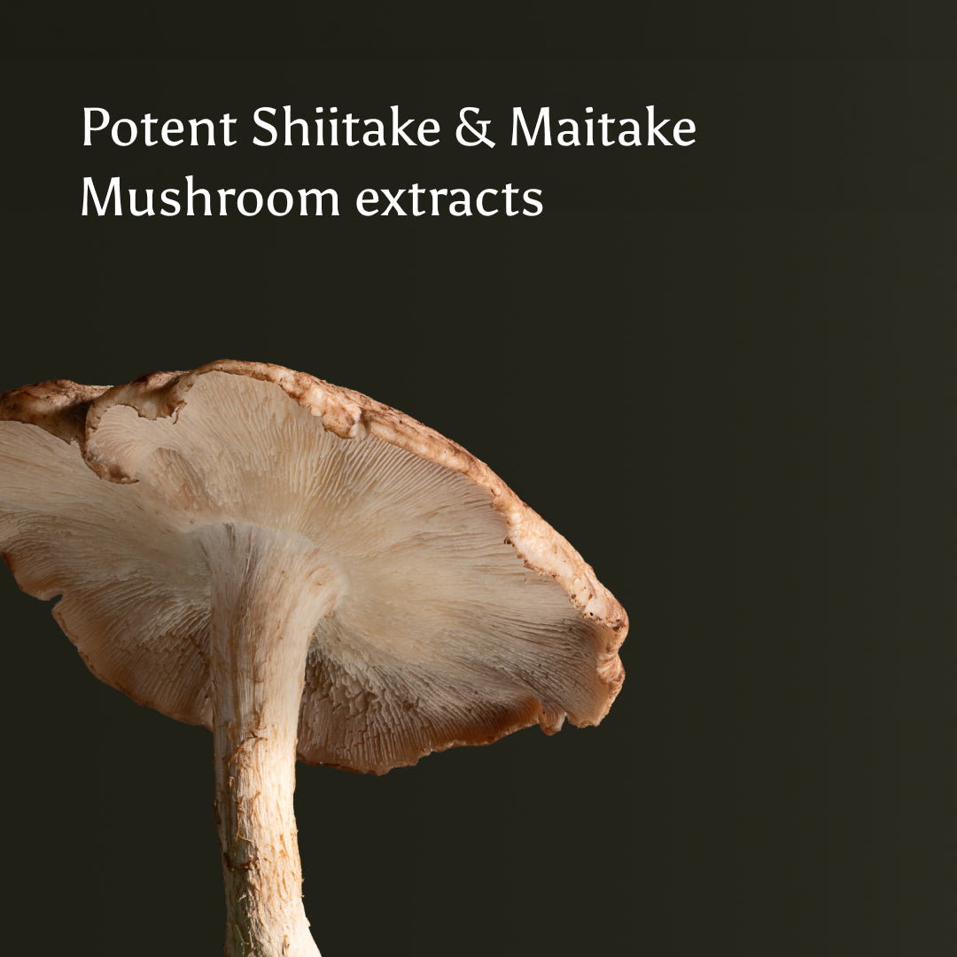 Brave Immunity Mushroom Tincture Bottle 50ml
